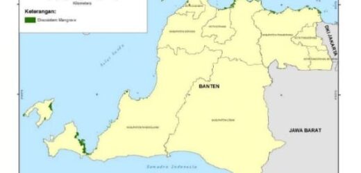 Cegah Abrasi Semakin Parah, Pemerintah Provinsi Banten Laksanakan Rehabilitasi Mangrove