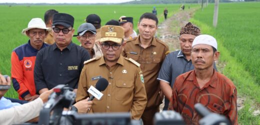 Gubernur Banten Andra Soni Tinjau Lokasi Program Jalan Usaha Tani