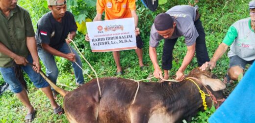 Idul Adha 1446 Hijriah, DPW PKS Banten Sebar 55300 Paket Daging Kurban