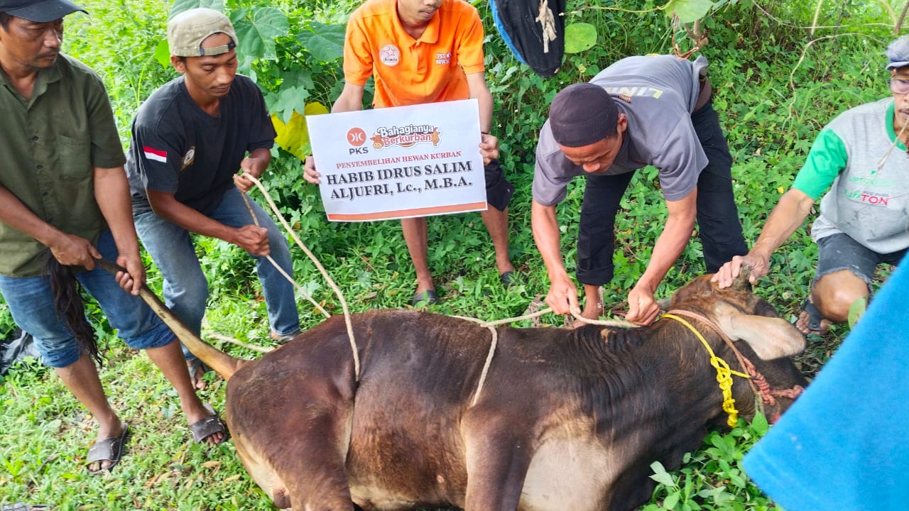 Idul Adha 1446 Hijriah, DPW PKS Banten Sebar 55300 Paket Daging Kurban