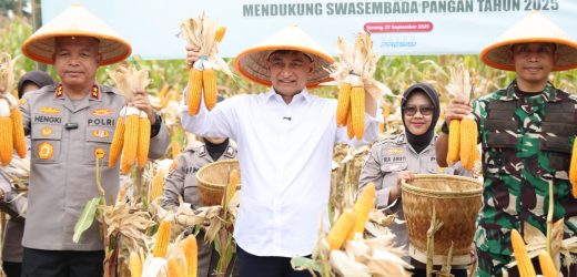Banten Panen Raya Jagung, Wagub Ahmad Dimyati: Momentum Peningkatan Kesejahteraan Petani