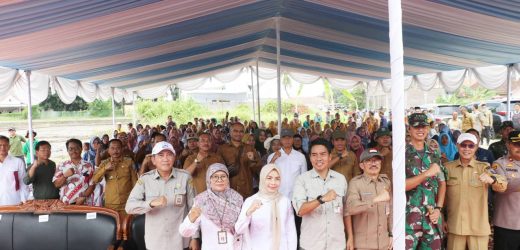 Bupati Serang Ratu Zakiyah Lakukan Percepatan Tanam Padi Gunakan Transplanter di Kramatwatu