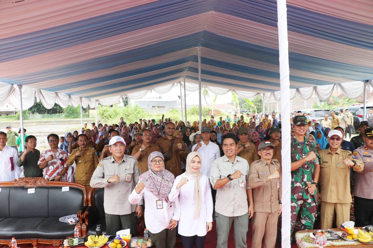 Bupati Serang Ratu Zakiyah Lakukan Percepatan Tanam Padi Gunakan Transplanter di Kramatwatu
